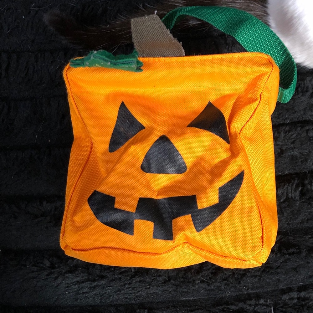 Thirty-One Orange Pumpkin Bag
